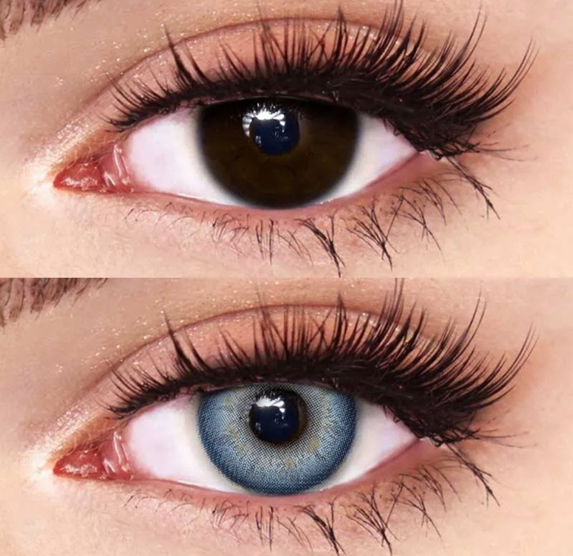 RICH BLUE CONTACT LENSES